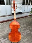 Foto 7 di 12
