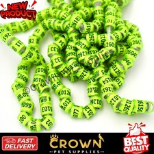 Pigeon Leg Bands Rings With Word Earrings Quality Durable Light Green Color 50Pc