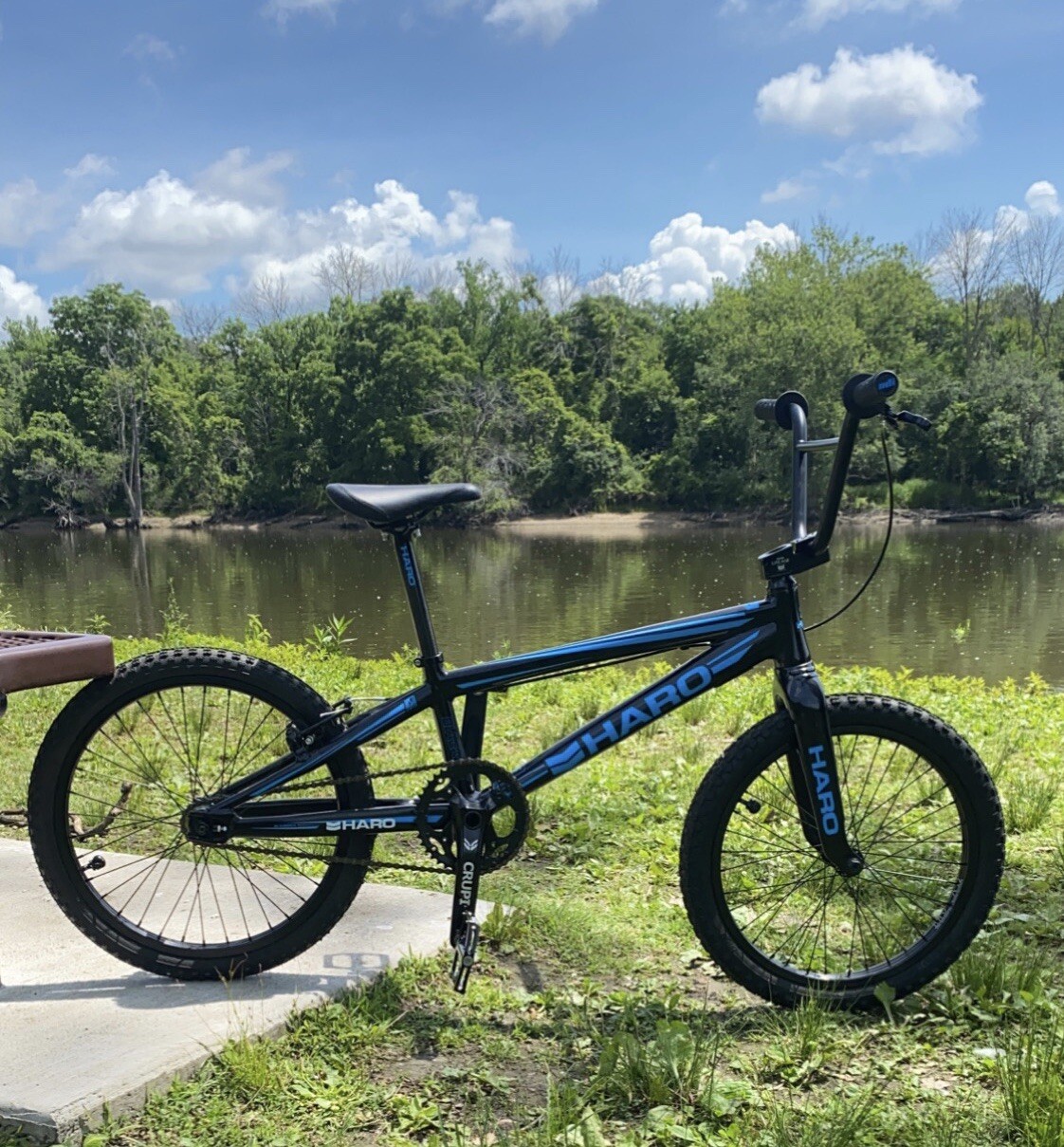 haro pro xl Off 76% - www.farsfair.ir