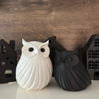 Black White Duo Decorative Piece – Modern Minimalist Home & Office Decor