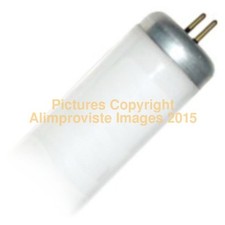 New F90t17cg 82w 60 Cool Green Light Bulb Fluorescent Lamp Rare Syl 29249