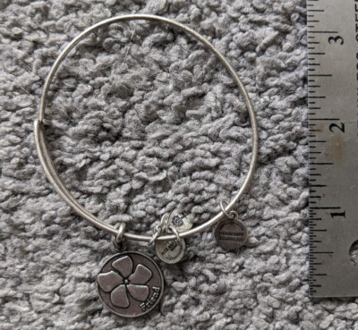 2014 ALEX ANI ENERGY FRIENDS CHARM BRACELET  JEWELRY USA SILVER TONE