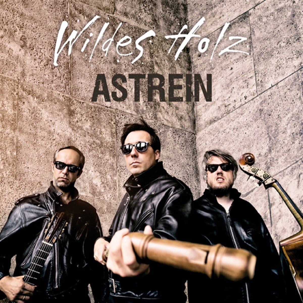 Wildes Holz Astrein (CD)