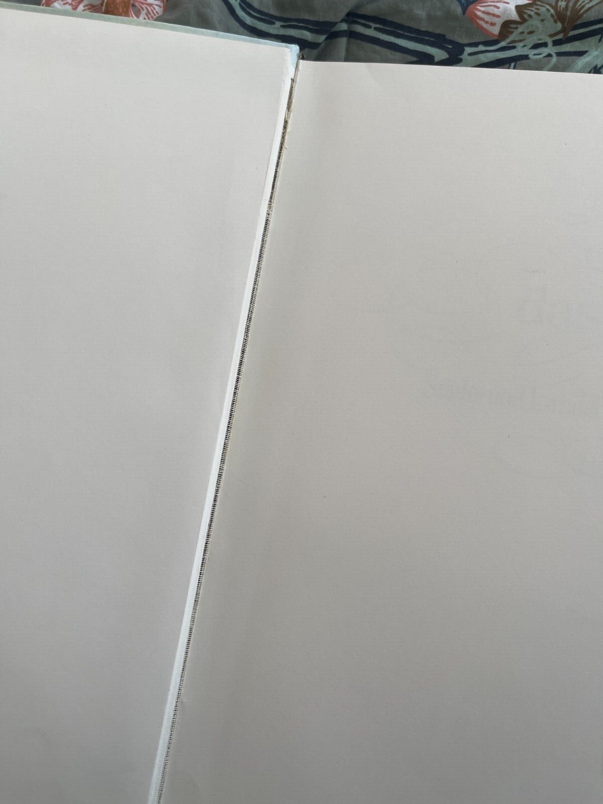 Picture 8 of 8