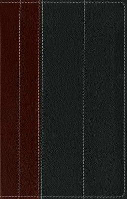 NIV Thinline Brown/Nero Black - FCS - Leather Bound, by Zondervan - Very Good