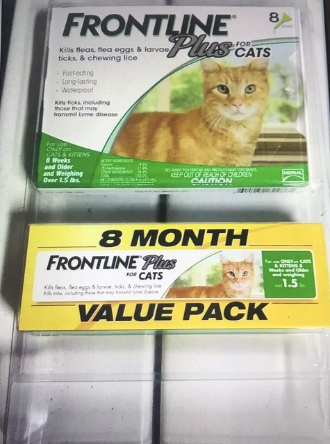 ebay frontline for cats