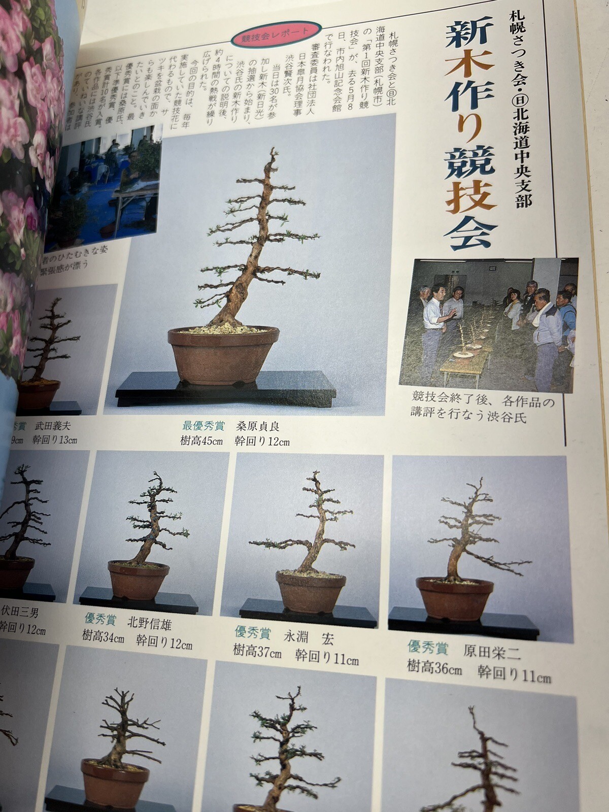 Monthly Magazine of Satsuki Kenkyu 1994 295 Soft Cover Japanese Bonsai