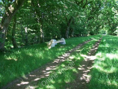 Photo 6x4 A contemporary seat on Y Lon Goed Llecheiddior/SH4743 Lines fr c2010