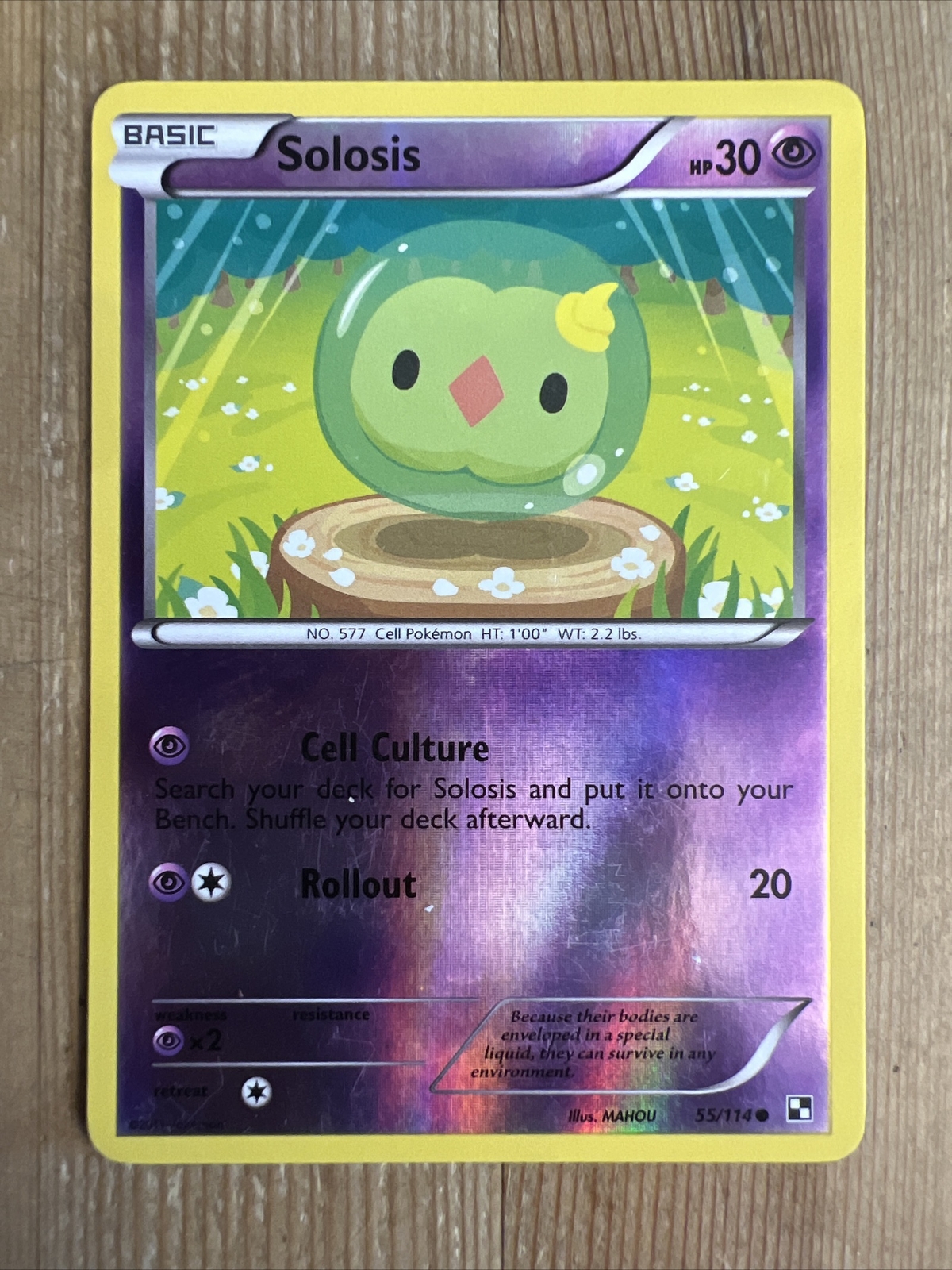 Pokémon TCG Solosis Black and White 55/114 Reverse Holo Common LP