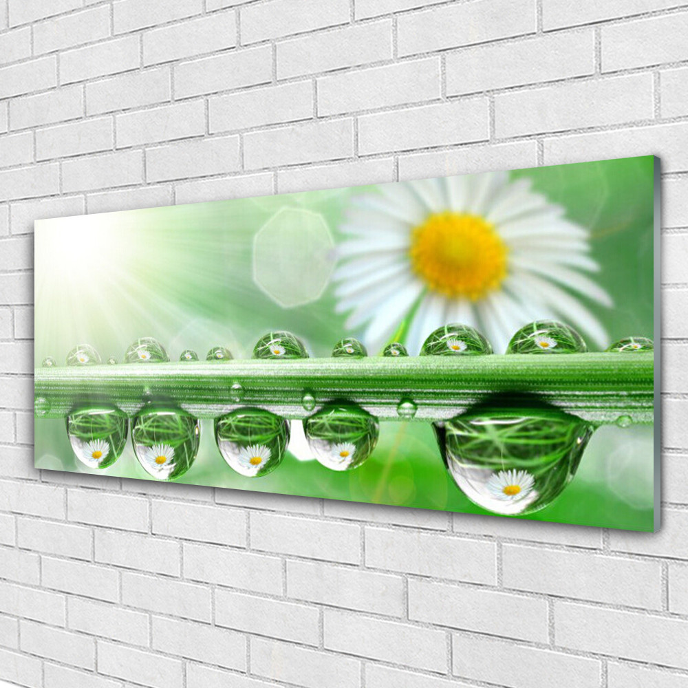 Tableau plexiglas 125x50 marguerite pour agrandir un salon sombre