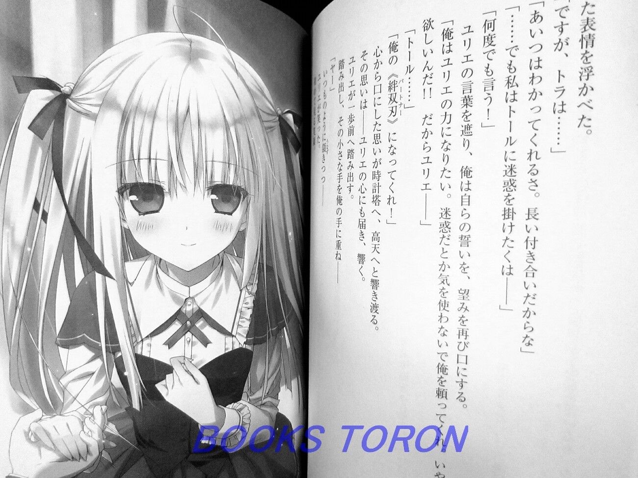 Absolute Duo  Light Novel - Pictures 