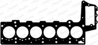 Payen Zylinderkopfdichtung FüR Bmw 5Er Touring E61 525D 530D 535D X5 E53 3.0D