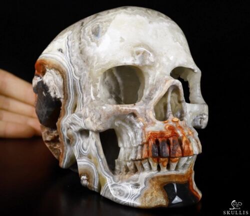 5.9" Crazy lace Agate Geode Carved Crystal Skull, Super Realistic, Healing - Picture 1 of 13