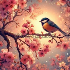 Digital Image Picture Photo Wallpaper Background Desktop Bird  Cherry Tree #A79