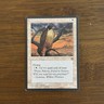 Mesa Falcon (A) LP Homelands 1995 Magic the Gathering MTG Nice!