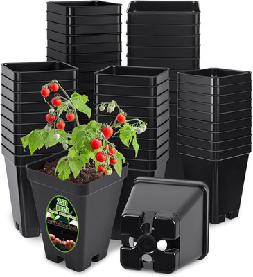 250 Pcs Square Nursery Pots 2.63 X 3.5 Inches (D X H) Plastic Seedling Pots with