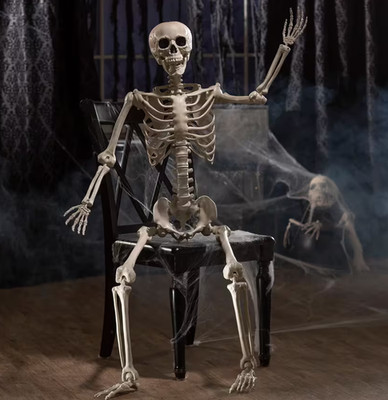 5 Ft Life Size Posable Plastic Skeleton Halloween Decoration Free Ship US