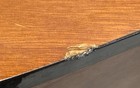 Franciscan CN4 Classical Acoustic Guitar 6-String Made in Korea Natural — photo 10