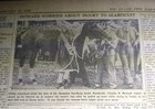 FEB 16, 1947 NEWSPAPER PAGE #2640- OWNER FEARS SEABISCUIT MAY NOT RACE AGAIN  — photo 1