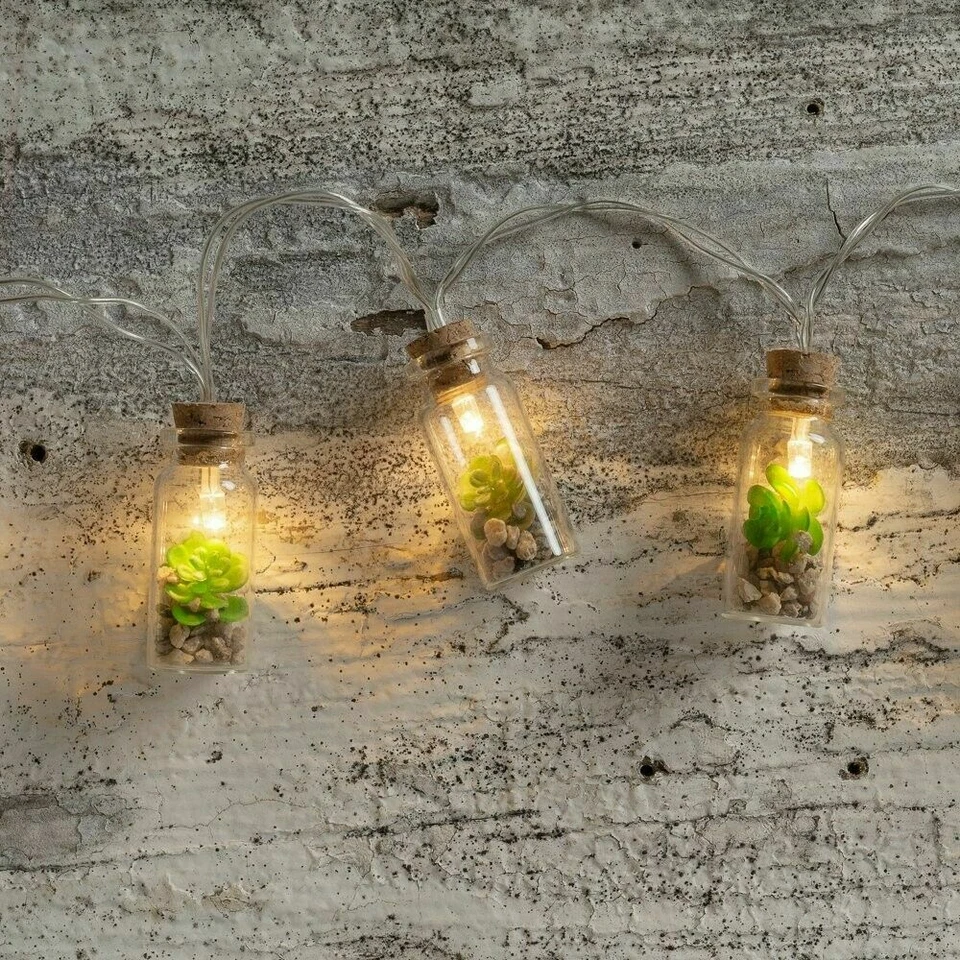 PBK SUCCULENT in a JAR w Cork lid & tiny pebbles rocks String Lights 36" Long