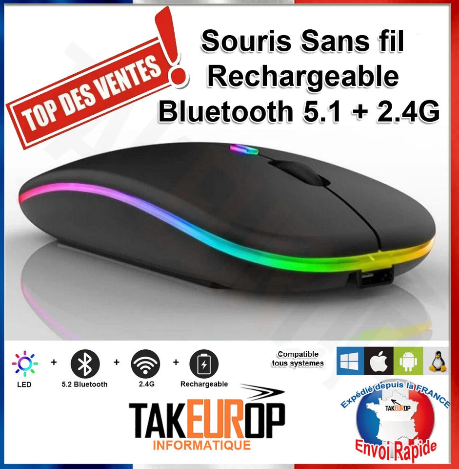Souris Sans Fil Rechargeable Bluetooth 2.4G Ultra-Mince Silencieuse 4 Boutons
