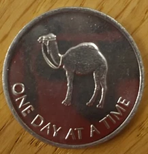 Camel Coin AA, NA, recovery Chip Aluminium Serenity Prayer