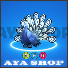 NFR Moonbeam Peacock   Fast  Easy Delivery