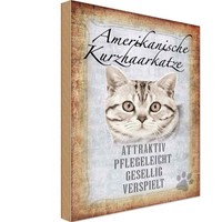 Holzschild 18X12 Cm Americanische Katze Kurzhaar Tier Haustier Deko Geschenk Hol