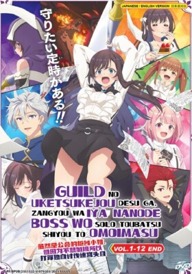 DVD Anime I May Be Guild Receptionist, Solo Any Boss (1-12 Ende) Englisch all...