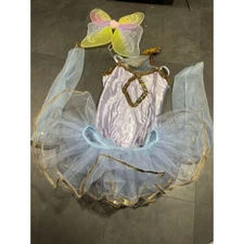 Curtain Call Costumes Fairy Princess Dress Tutu Ballet Dance Costume H-719