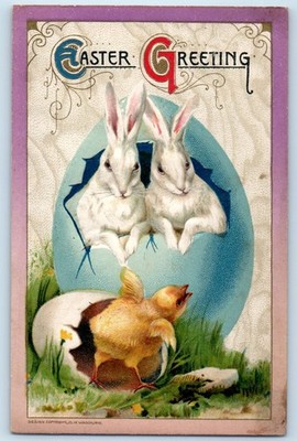 1912 Easter Greetings Bunny Rabbit In Hatched Egg Chicks John Winsch Postcard