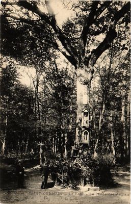 CPA St-GERMAIN - La Foret - Le Chene-des-Anglais (657503)