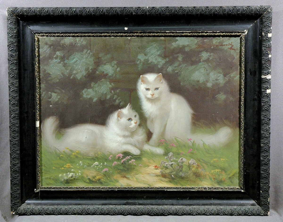 Painting by H King of White Persian Cats www.np.gov.lk