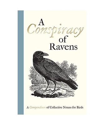 A Conspiracy of Ravens: A Compendium of Collective Nouns for Birds: A Compendium
