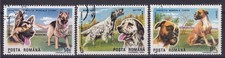 Timbres oblité Roumanie année 1980 N° 3869 N° 3870 N° 3871 Thème Chiens réf 9033