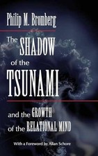 The Shadow of the Tsunami - Hardcover, by Bro...