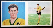 NORWICH CITY  Terry Bly   Vintage 1960 Illustrated Football Card  KE19MS