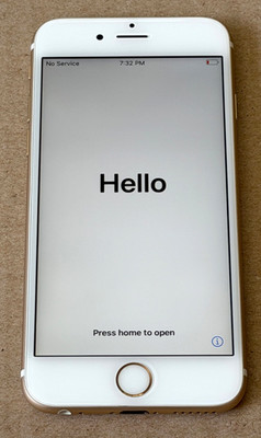 Apple iPhone 6s - 16 GB - Gold (Unlocked) running iOS 14.4