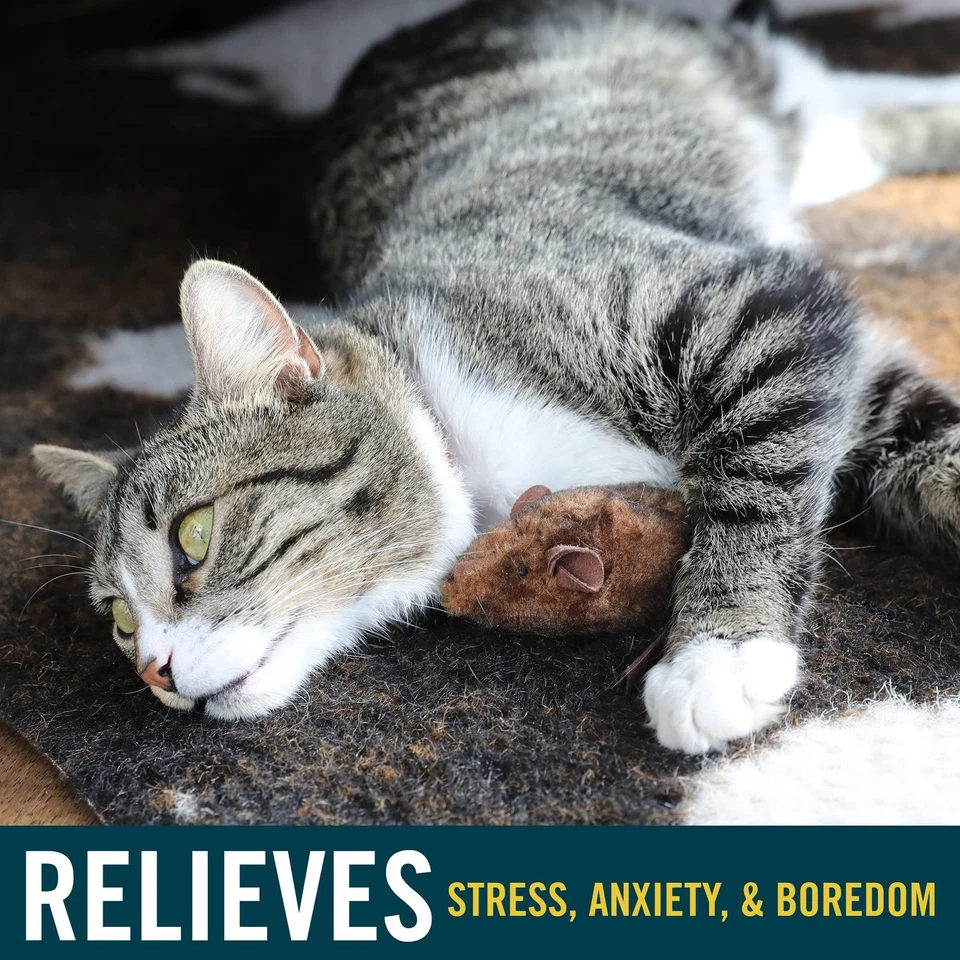 Juguetes OurPets Play-N-Squeak Mouse Hunter Cat (juguete interactivo para gatos y hierba gatera... Foto 3 de 4