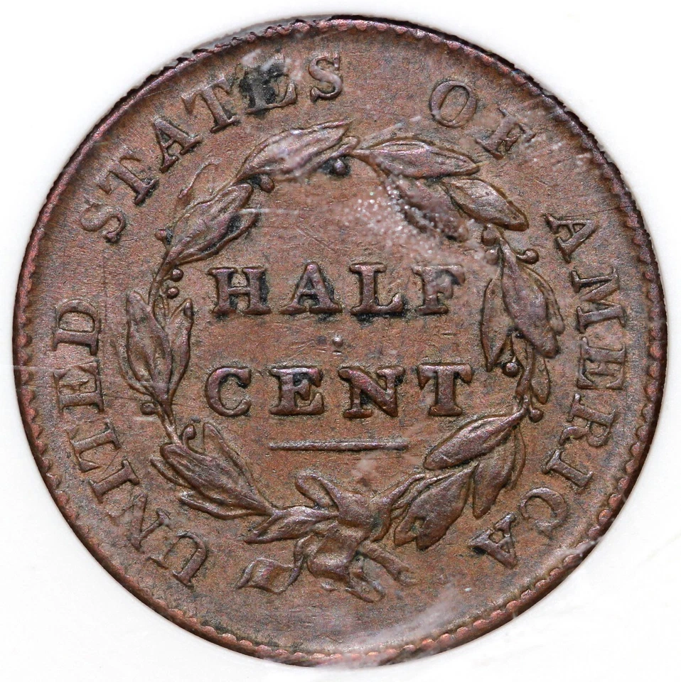 1825 1/2c C-2 Classic Head Half Cent ANACS EF 40 - Image 2 of 4