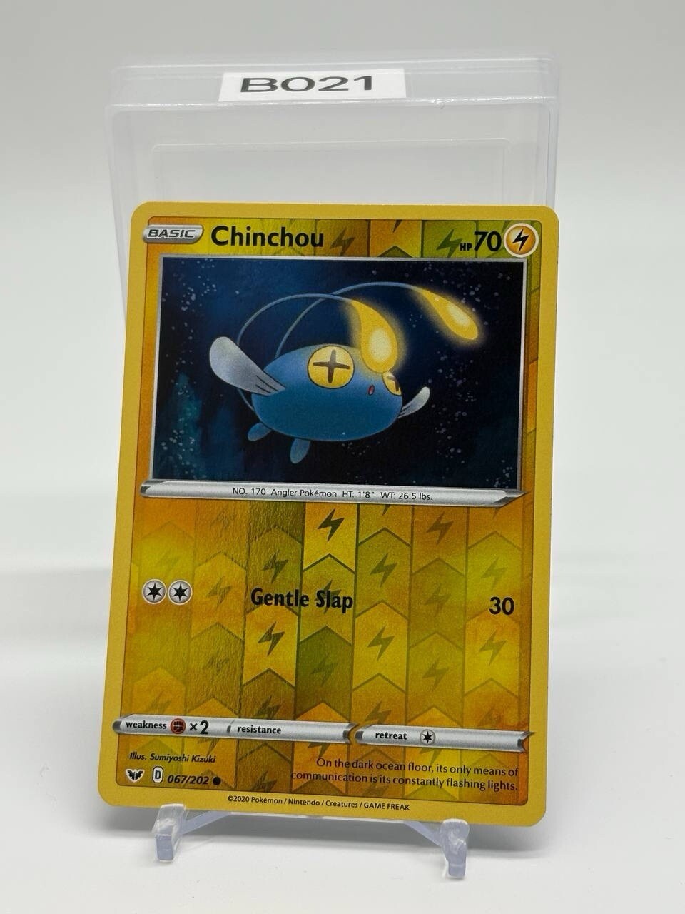 Chinchou 67/202 - Sword & Shield - Reverse Holo - Common - Pokemon Card TCG
