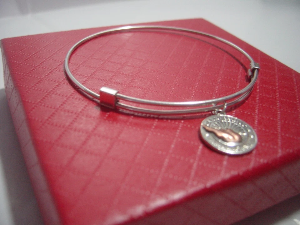 excelente pulseira de prata esterlina sólida - colecionável - alex e ani - luz de transporte - 6,5-8" - Imagem 2 de 4