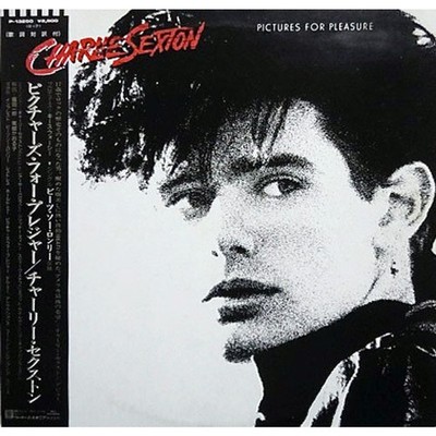Charlie Sexton - Pictures For Pleasure (Vinyl LP - 1985 - JP - Original)