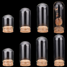 8Pcs Cloche Bell Jar 4 Sizes Glass Display Dome with Cork Base Mini Glass Bottle
