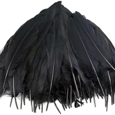 200 Pieces Black Feathers for Craft Wedding Home Party 6-8 Inches Goose