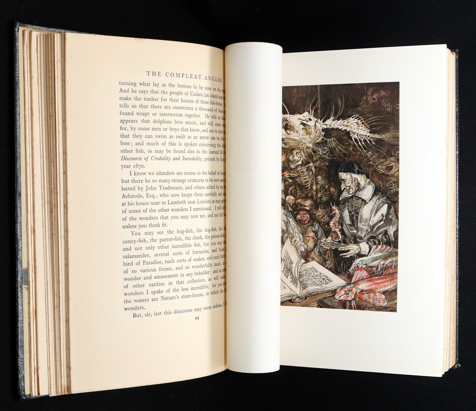 1931 Rare Deluxe Edition - The Compleat Angler illustrated by Arthur Rackham