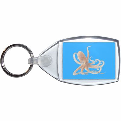 Octopus Klar Kunststoff Schlüsselanhänger (S, M oder L)