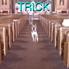 Alex G Trick (CD) Album (UK IMPORT)