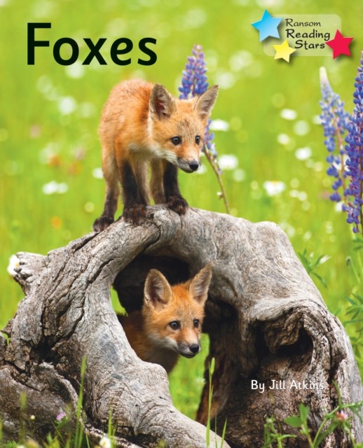 Foxes by Atkins Jill - - Image 3