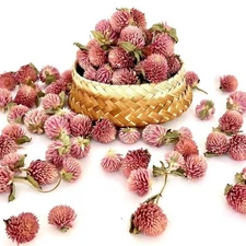 2.5oz Dried Flowers Gomphrena globosa Flower, Natural Globe Amaranth Flower W...